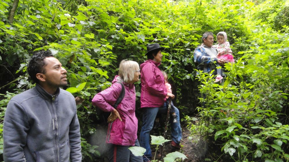 Wo ist der&nbsp;Fernseher?