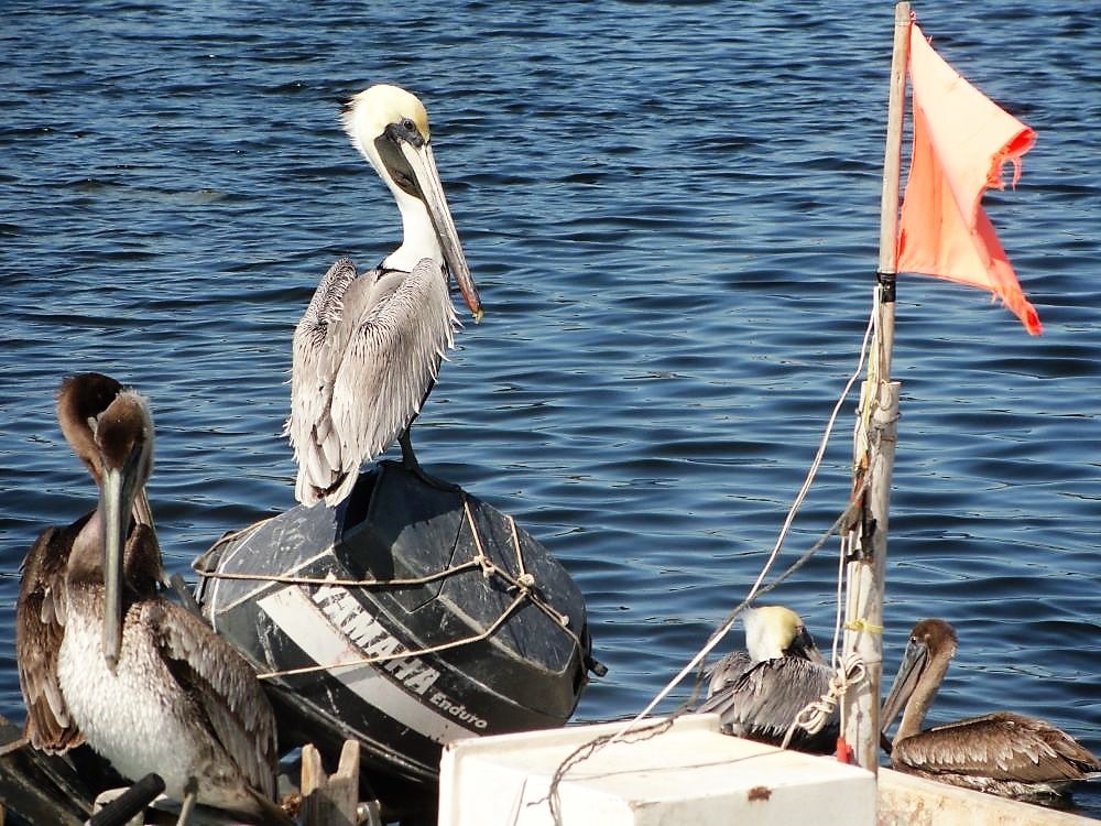 Das Klima spürbar im&nbsp;Wandel