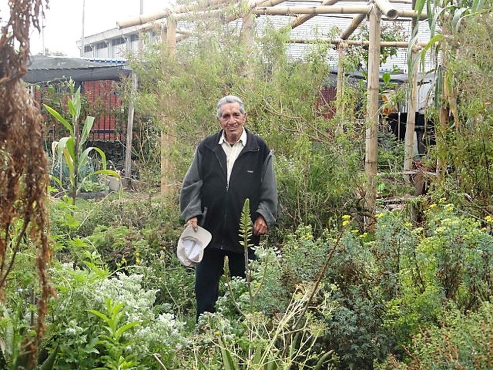 In den Gärten&nbsp;Bogotás